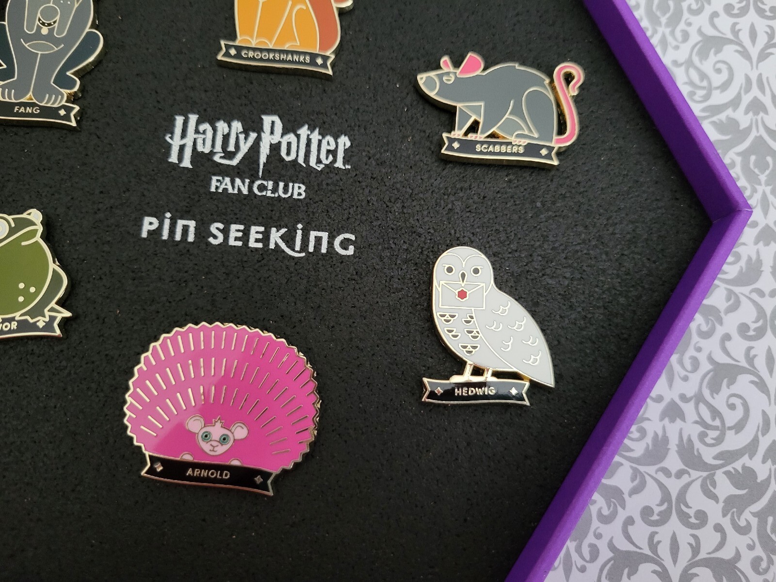 Taking A Closer Look At The Official Harry Potter Fan Club Pin Seeking  Collection