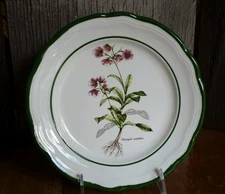 Primula decorata a mano Salad Plate -Chimapila umbellata- MADE IN ITALY