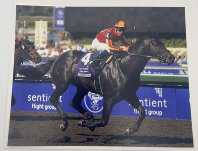 2008 Breeders Cup Grade 1 Sprint Midnight Lute & Garrett Gomez 8x10 Photo