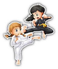 Karate Girls Fight Car Bumper Sticker Decal - ''SIZES"