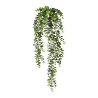 artplants Deko Eukalyptus Zanvor, Steckstab, GrüN, 80Cm
