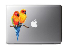 Love Birds Sun Conure Parakeets Full Color - Vinyl Decal for 13