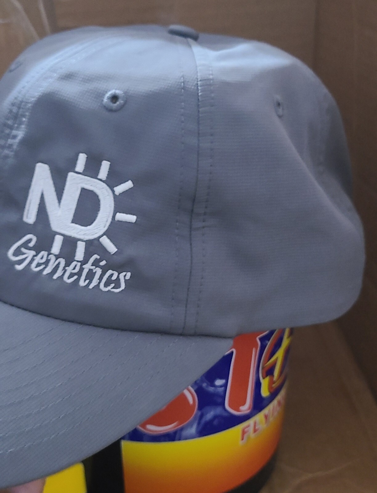 ND Genetics strapback hat gray - image 2