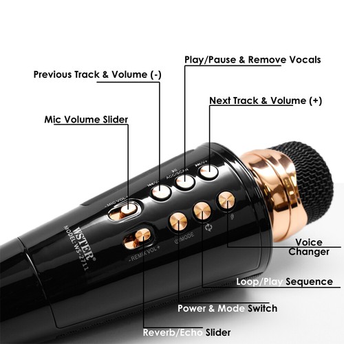 2-in-1 WSTER Wireless Microphone & Speaker w/ Multimedia Support AUX, FM, USB - 第 5/6 張圖片