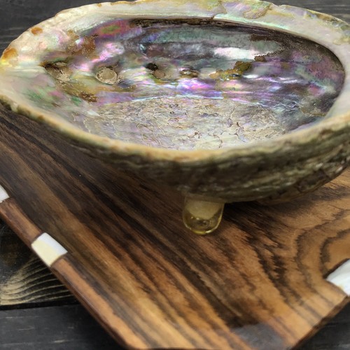 Vtg Footed Oyster 5” shell On 6 1/2” Wood display tray Oyster Pearlescent - Picture 12 of 12