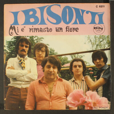 BRUNO CASTIGLIA & I BISONTI : mi e' rimasto un fiore / per il mondo me ne vo 7''