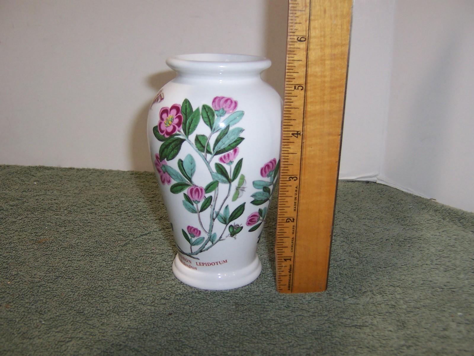 Picture 5 of 6