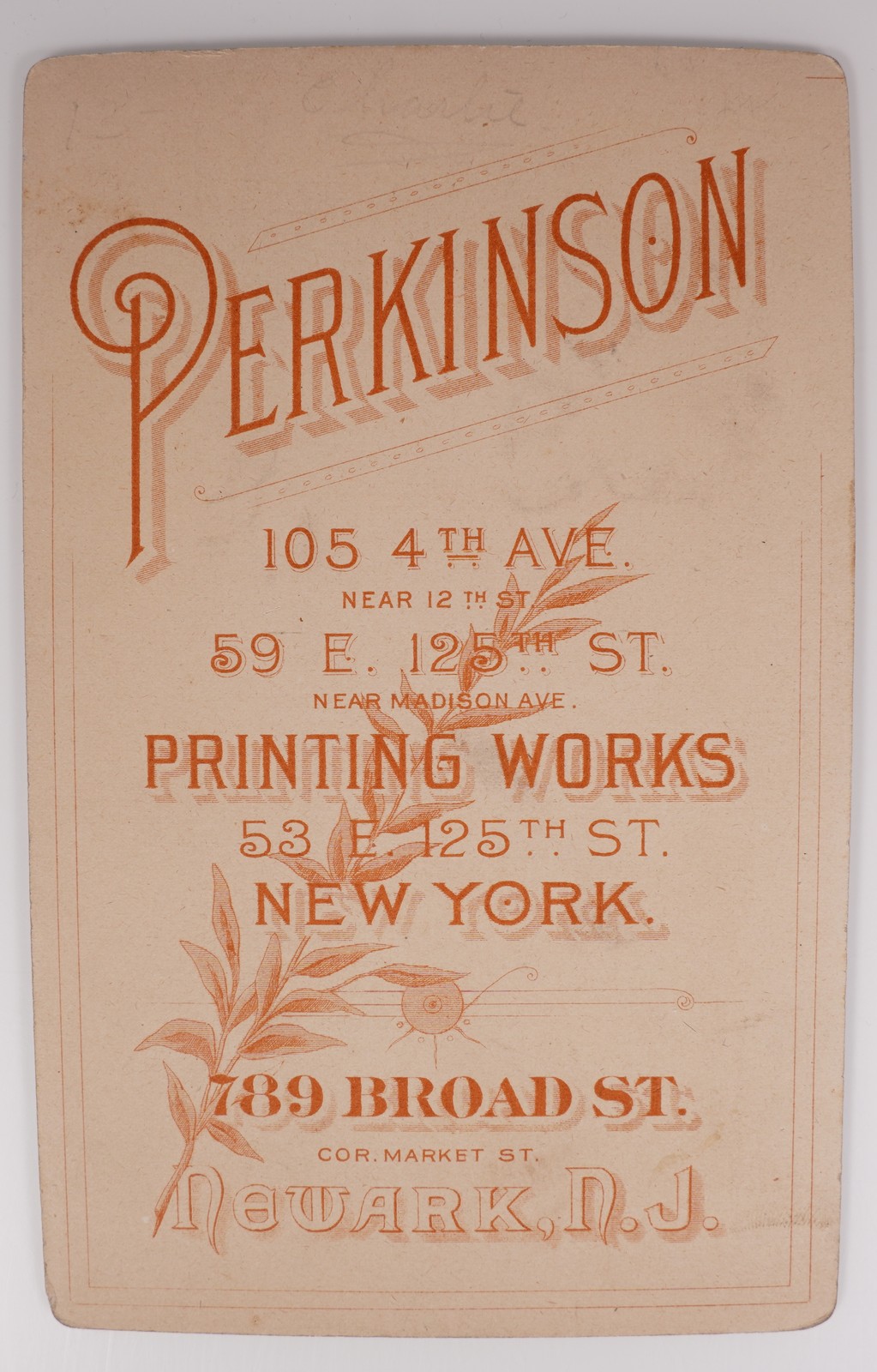 Antique Cabinet Card 1890s Perkinson Nurse Maid Uniform New York Newark — additional view