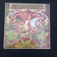SPYRO GYRA - MORNING DANCE- VINYL LPINS 2003 A2 B1  BRILLIANT VINYL CONDITION 