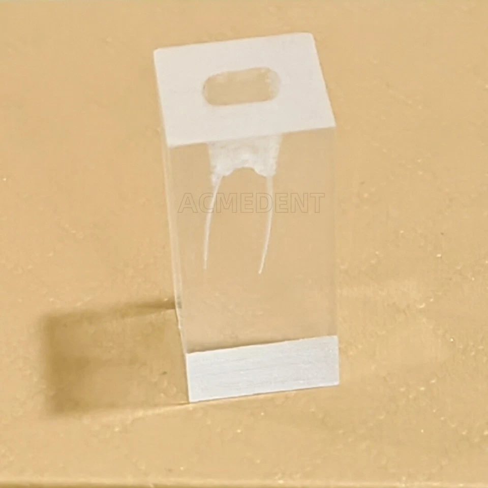 RCTA MTA Dental Bloques Archivos Modelo de Práctica Dientes Canal Raíz Pulpa Réplica Endo Foto 4 de 4