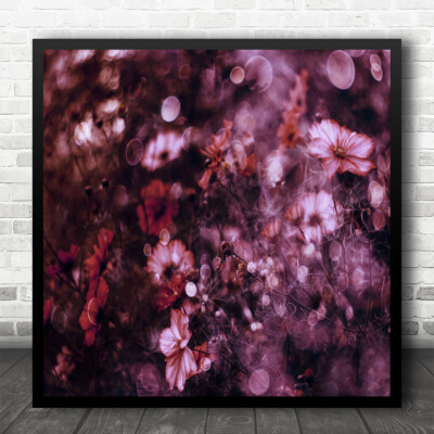 Stillleben Makro lila Blumen Bokeh Natur quadratischer Wandkunstdruck