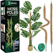 2 Pack Moss Pole 25 Monstera Plant Support Moss Poles For Climbing Plants Mons