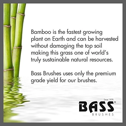 Bass Brushes Men's Club Style 100% Wild Boar Bristles Light Wood Handle 1ct - Image 3 of 4