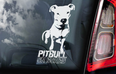 pitbull car decal