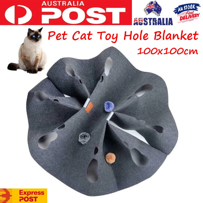 Cat blanket toy sales