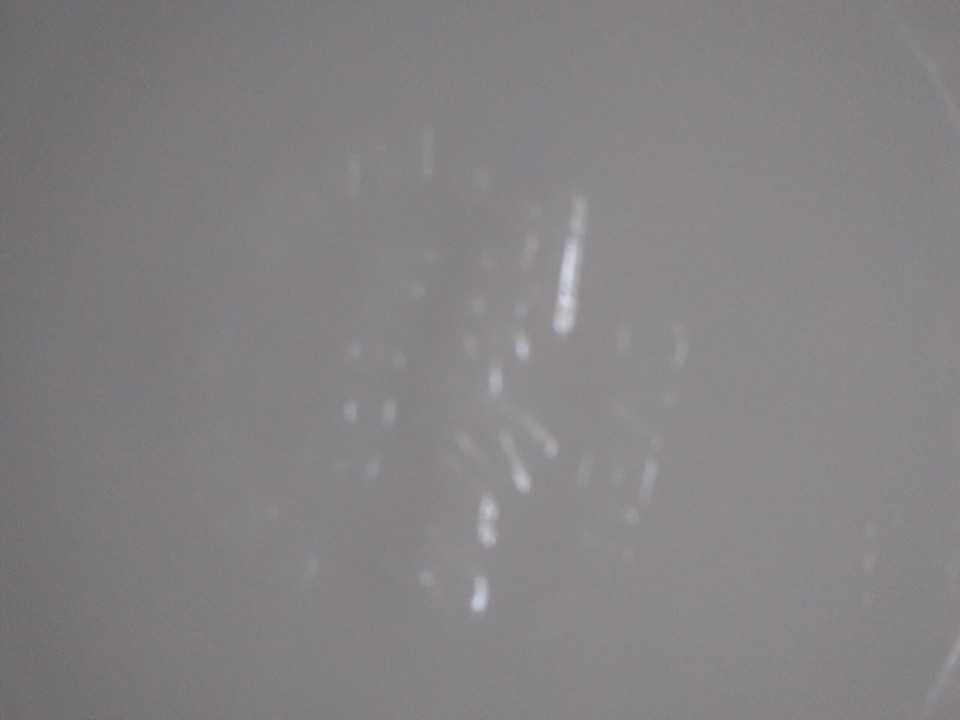 FIRE KING 3Section Serving Dish White Glass Gold Bead Trim eBay