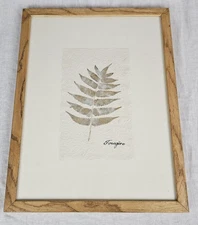 Framed Pressed Fern Leaves Leaf Fougere Wall Art 16"x12.5" Nature Botanical 