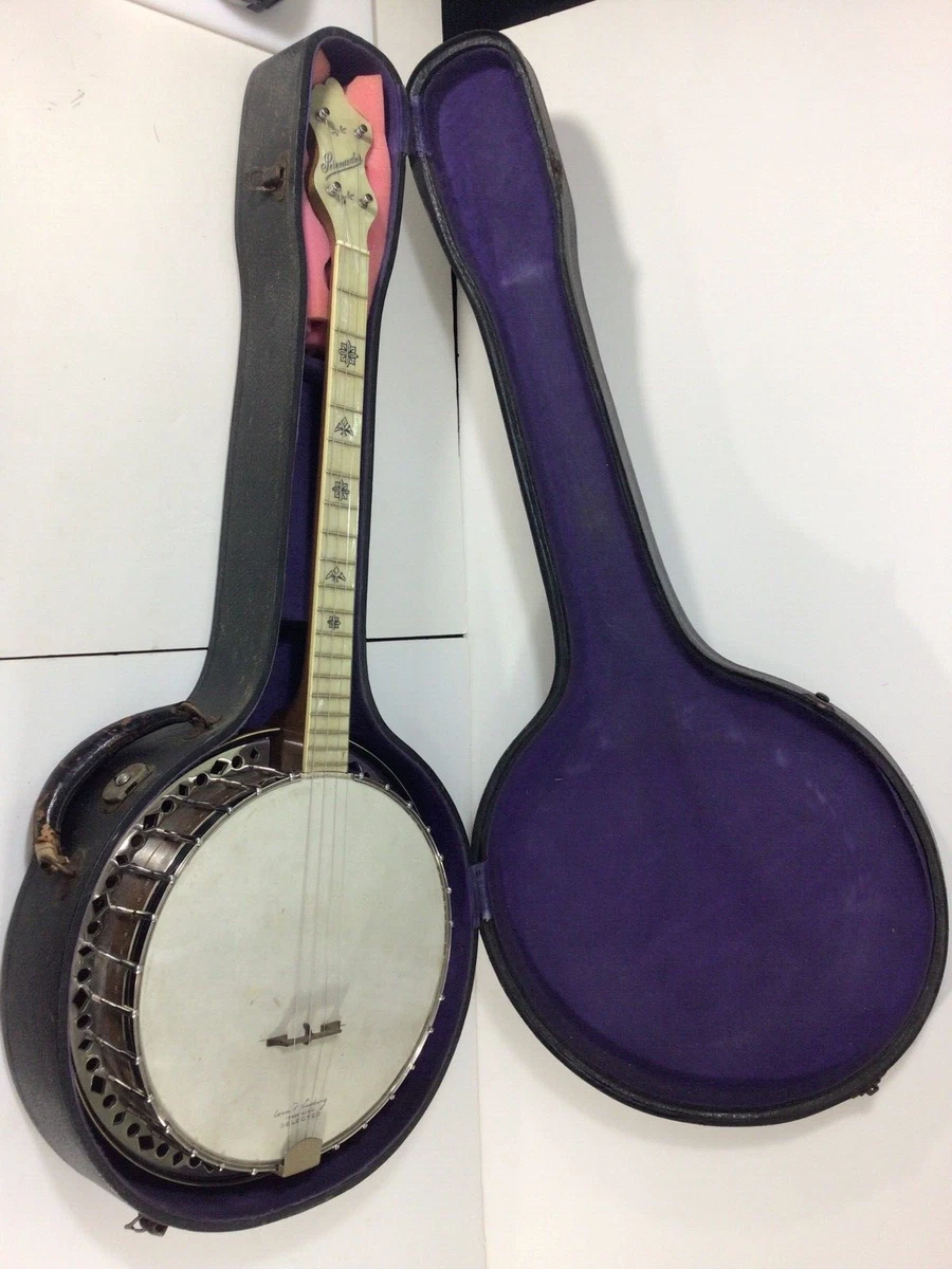 Stromberg banjo sale