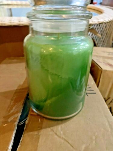 Yankee Candle Beautiful Day 22 oz barattolo vetro vintage ritirato verde nuovo - Foto 2 di 3