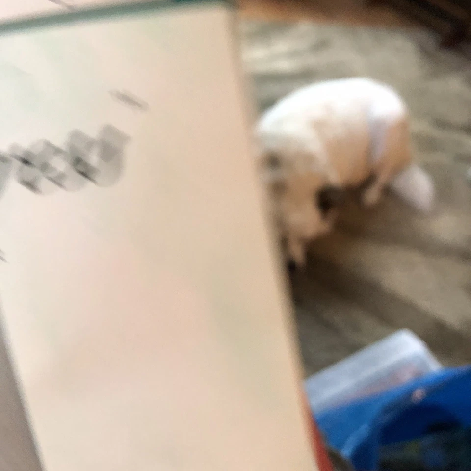 Worthington прозрачные ласки серебряные колготки королева короткие мерцающие ультра прозрачные - Изображение 2 из 4