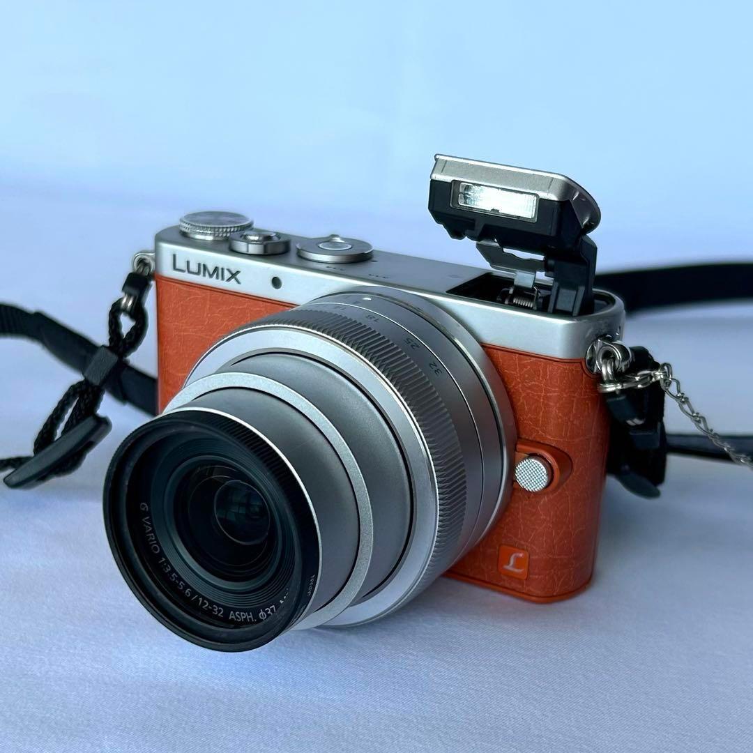 Panasonic LUMIX DMC-GM1K degital camera 16 MP orange w/case from 