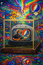 Jerry Garcia Grateful Dead Hat, Removeable Metal Patch, Snapback