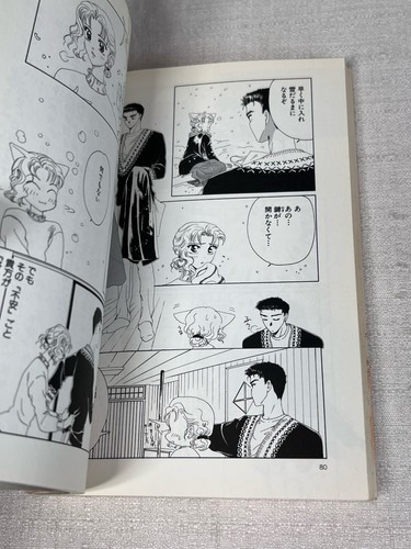Watashi no Sukinahito Young Rose Comics DX Manga in japanischer CLAMP Romanze - Bild 4 von 7