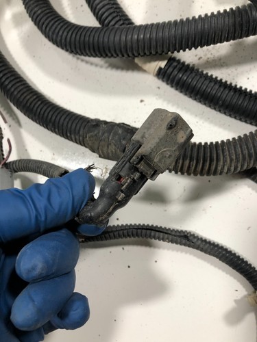 Frame Wire Harness Ford F450 F550 - Picture 12 of 18