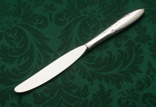 Celeste by Gorham  Sterling Silver Place Knife 9.25"