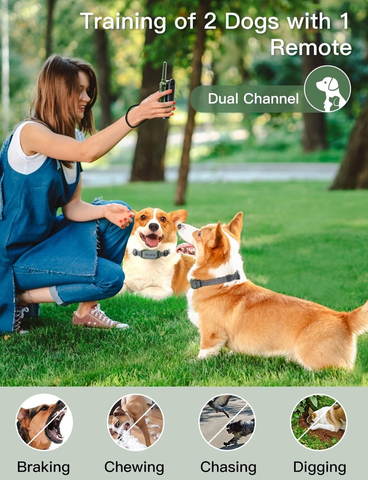 Dog Shock Collar 2 Dogs 3300 ft Waterproof Dog Training Collar with