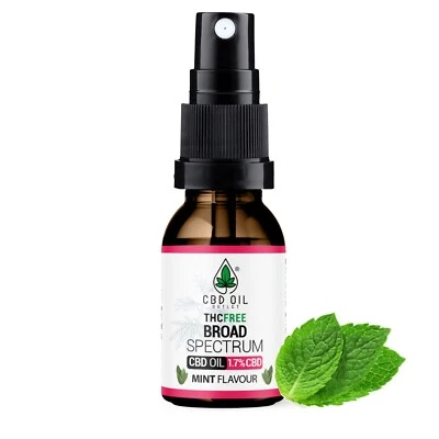 CBD OIL OUTLET CBD Oil SPRAY - Mint taste - 500mg, THC-Free, 30ml. Sleep, Anxiety, Mobility.
