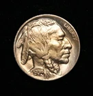 1934-D  Buffalo Nickel   Gem BU