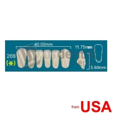 RAFAEL 268 Lower Anterior A2 (1 X 6)  Rafael 2 layers Denture Acrylic Tee 113343
