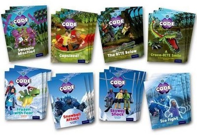 Project X Code: Fiendish Falls & Big Freeze Class Pack of 24 - 9780198340294