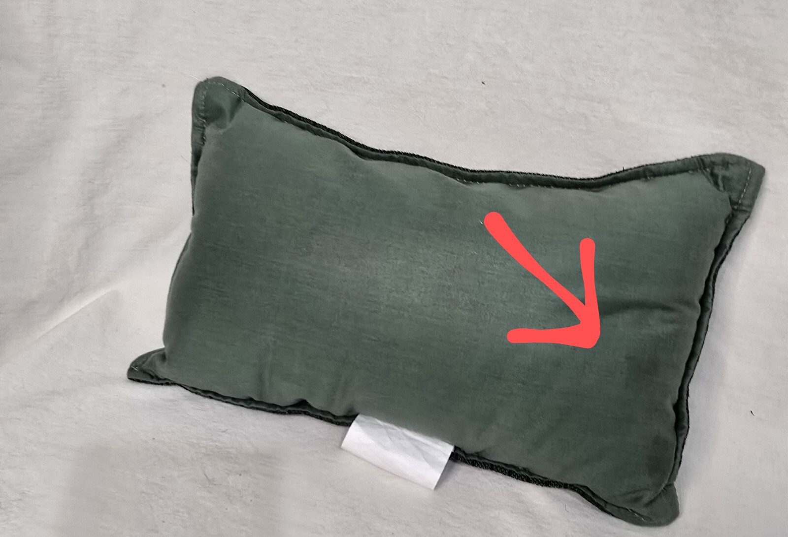 "Let Me Get This Straight My Grandchild Is A Cat?  Tapestry Pillow 9x12