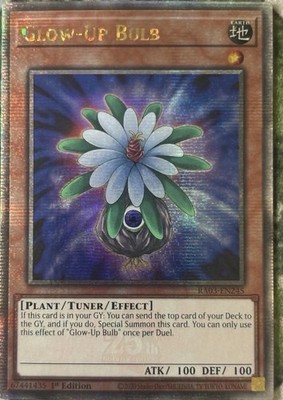 YuGiOh GLOW-UP BULB Quarter Century Secret Rare RA03-EN245
