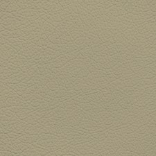 Mercedes Mushroom Leather Dye