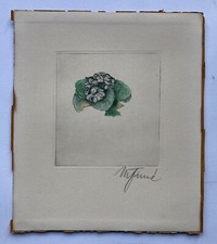 Piccola Incisione Stile Liberty Fiori Natura Morta Firmata 20 X 17,2 Cm