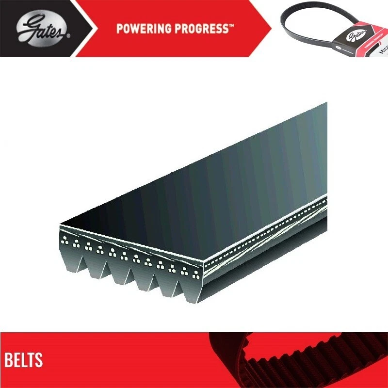 Puertas de cinturón Serpentine para AUDI A6 QUATTRO L4-2,0 L 2013-2015 Foto 2 de 4