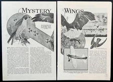 “Mystery Wings” Ornithology 1934 Bird Flight pictorial Duck Hawk ~ Swift ~ Eagle