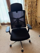 Holludle Ergonomic Office Chair