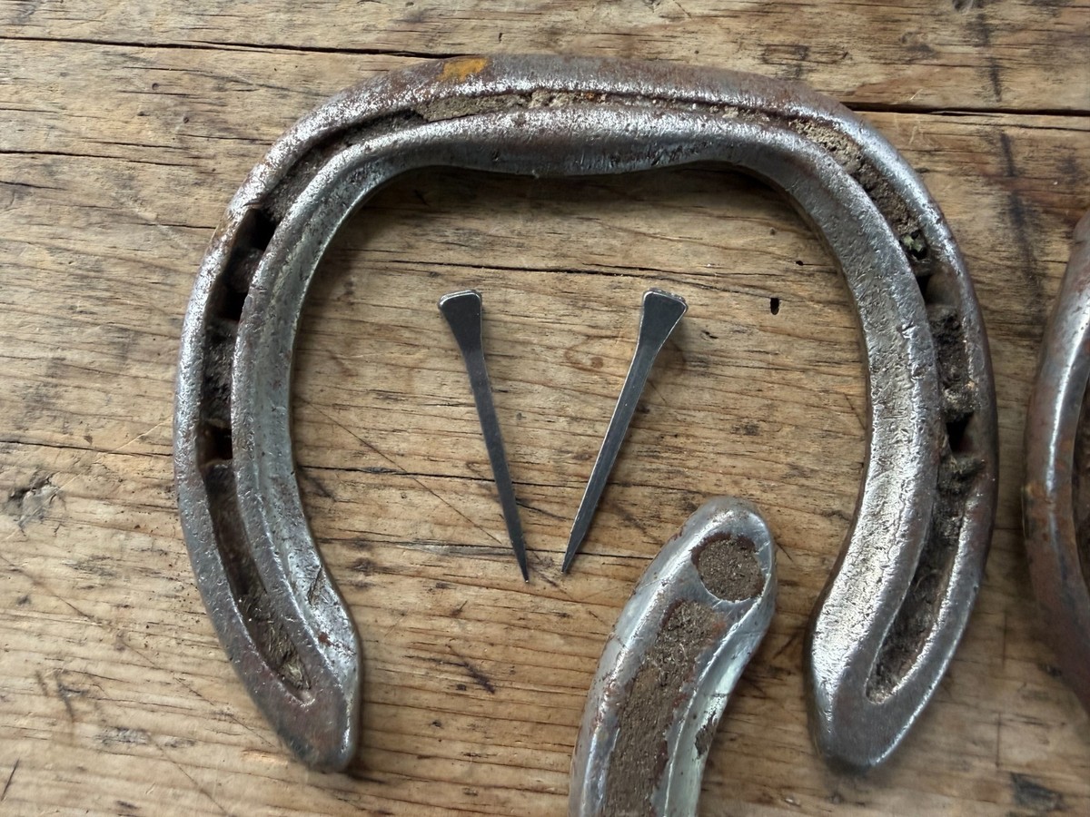 Real Used Lucky Old Horseshoe – Authentic Horse Shoe – Good Luck Charm / Wedding Decor