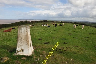 Foto A3 North Somerset: Middle Hope Trig Point Woodspring Priory A tri c2012