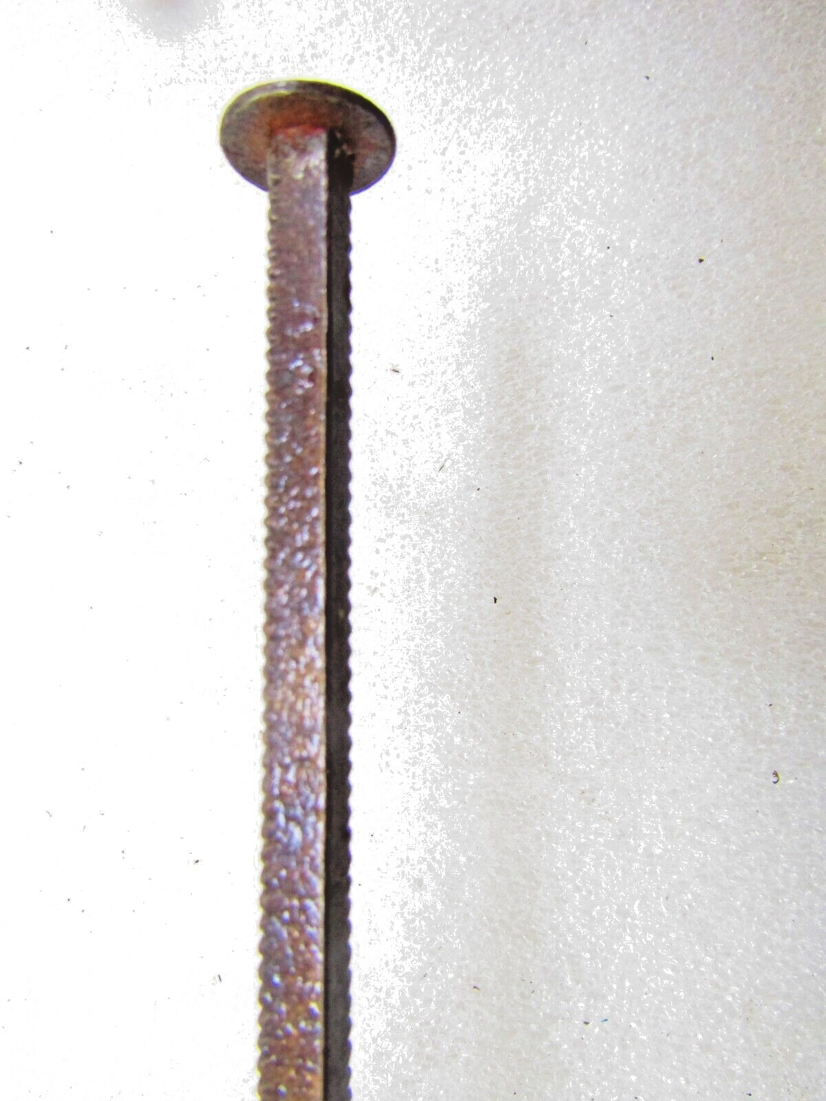 Picture 5 of 7