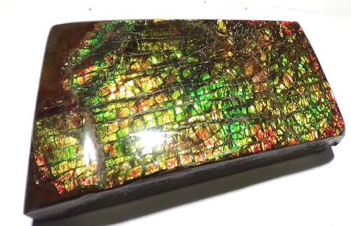 1000 Carat.!! I Sammler Ammolite /Drachenschuppe Grün-Golden-Orange   + VIDEO - Picture 3 of 5