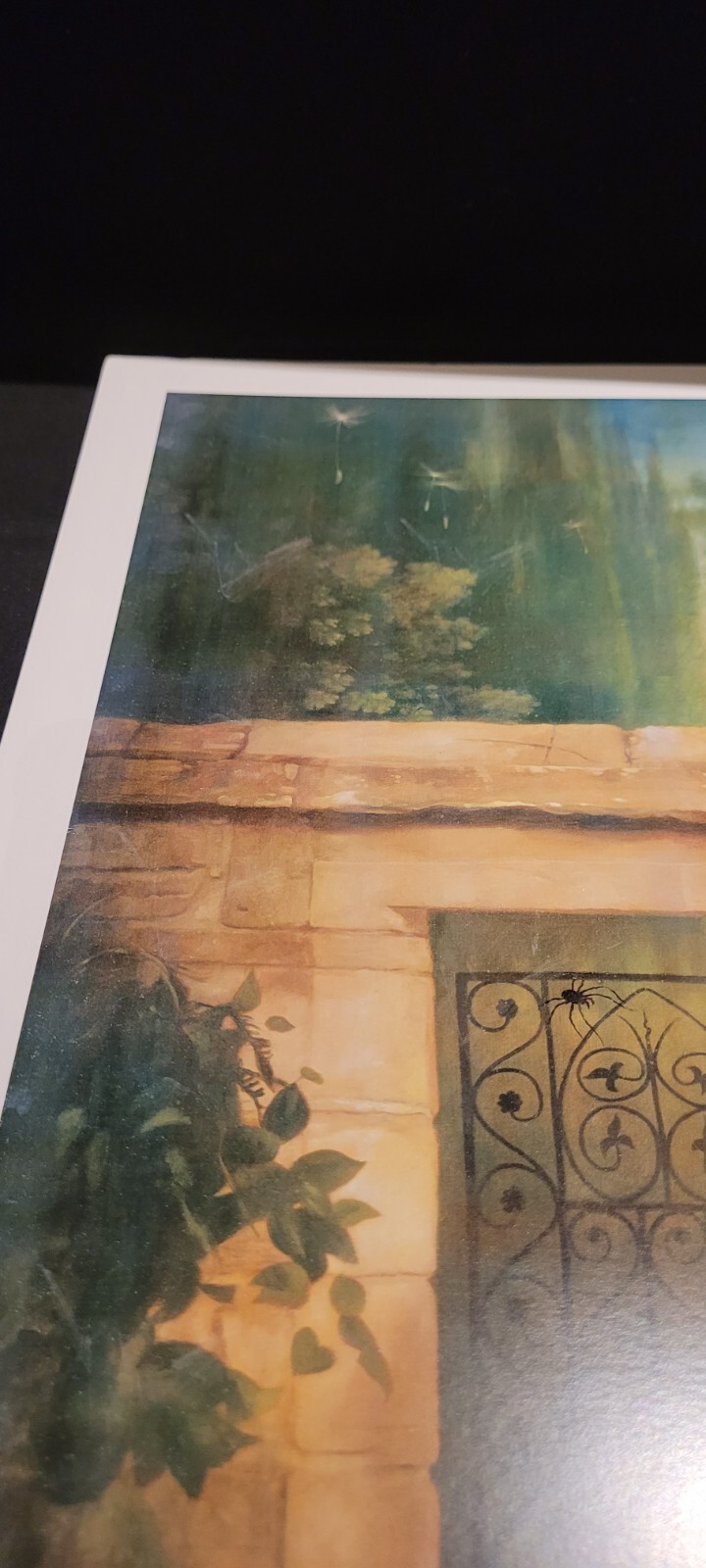 Picture 13 of 24