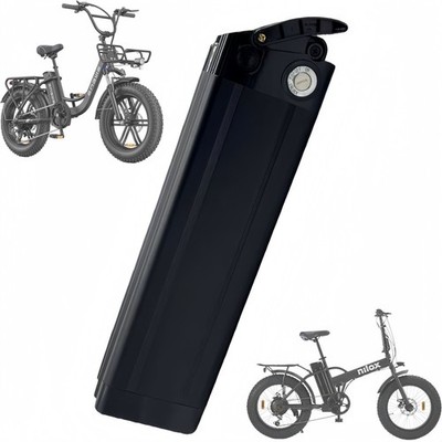 Akku 48V 20Ah Silberfisch 750W für E-Bike - Lithium Akku