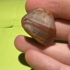 Banded Lake Superior Agate 0.49 oz — photo 2
