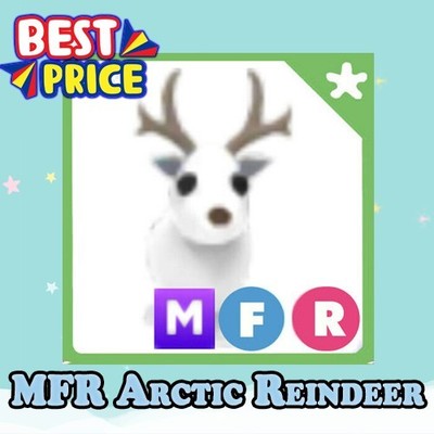 MFR Arctic Reindeer - Adopt right now