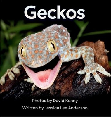 Geckos: Get to Know More About These Vocal Lizards! (Hardback or Cased Book)